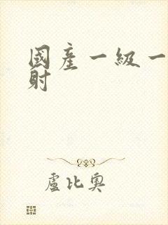 国产一级一次内射