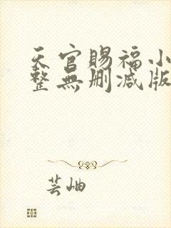 天官赐福小说完整无删减版