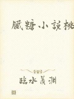 脏糖小说桃燃封面