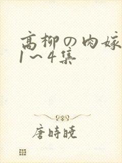高柳の肉嫁动漫1～4集