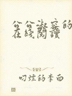 公公淑容的小说在线阅读