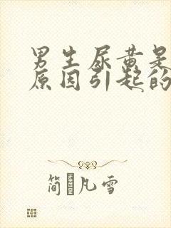 男生尿黄是什么原因引起的