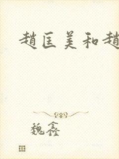 赵匡美和赵匡胤封面