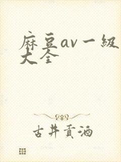 麻豆av一级片大全