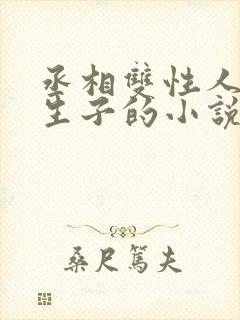 丞相双性人是受生子的小说