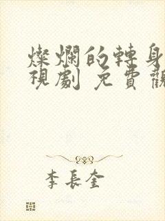 灿烂的转身 电视剧 免费观看