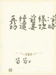 再续前缘:前夫的追妻攻略短剧封面