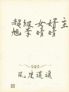 超级女婿主角赵旭李晴晴