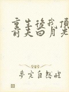 重生后我顶替了前夫白月光免费阅读