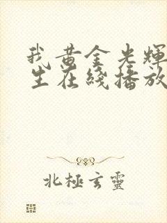 我黄金光辉的人生在线播放