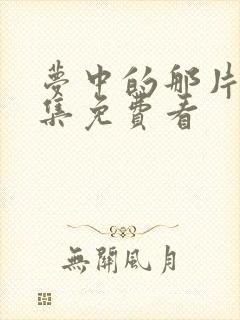 梦中的那片海全集免费看