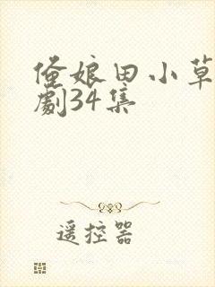 俺娘田小草电视剧34集