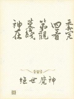 神墓第四季年番在线观看完整版