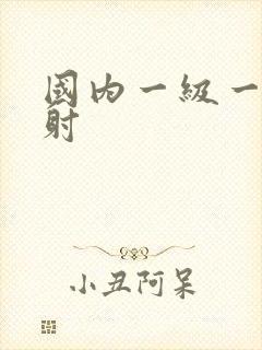 国内一级一片内射