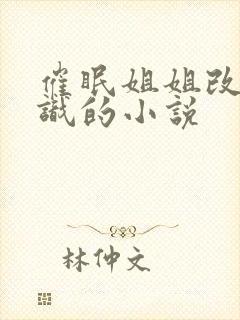 催眠姐姐改变常识的小说封面