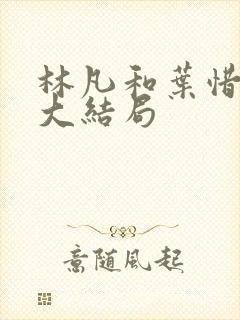 林凡和叶惜小说大结局封面