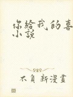 你给我的喜欢 小说