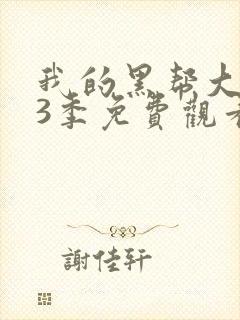 我的黑帮大佬第3季免费观看高清版