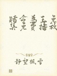 赌命为王免费全集免费播放