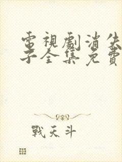 电视剧消失的孩子全集免费观看