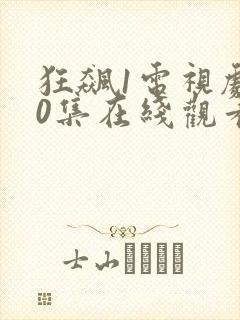 狂飙1电视剧40集在线观看免费