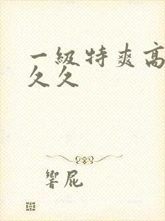 一级特爽高潮久久久