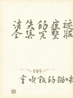 消失的痕迹免费全集完整版在线观看