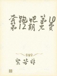 奔跑吧第10季第12期免费观看完整版