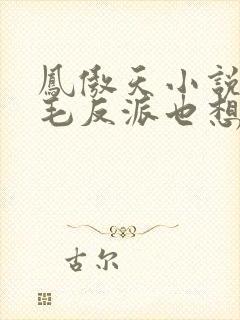 凤傲天小说里黄毛反派也想要幸福