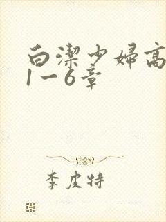 白洁少妇高义第1一6章封面