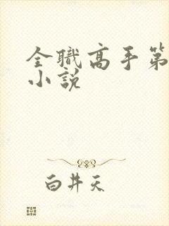 全职高手第三季小说