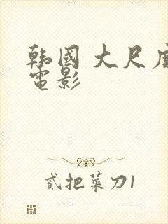 韩国 大尺度 电影