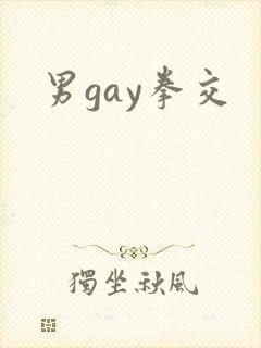 男gay拳交