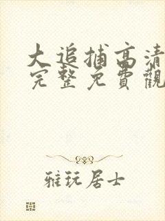 大追捕高清在线完整免费观看