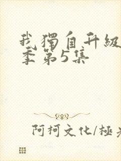 我独自升级第二季第5集