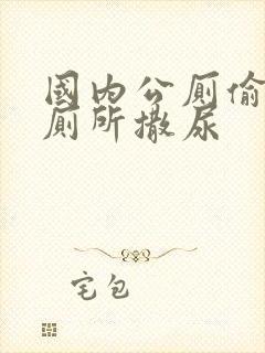 国内公厕偷拍女厕所撒尿