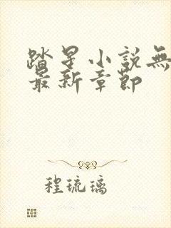 踏星小说无弹窗最新章节