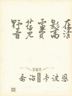 野花电影在线观看免费高清完整封面