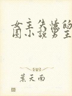 女主失忆的娱乐圈小说男主是影帝