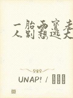 一胎两宝老婆大人别想逃大结局