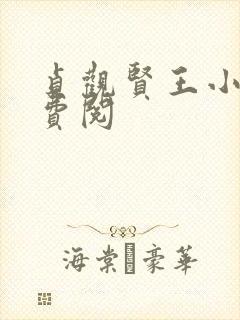 贞观贤王小说免费阅