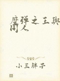 魔弹之王与战姬同人