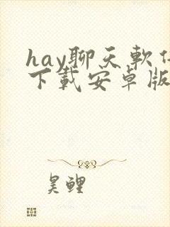 hay聊天软件下载安卓版封面