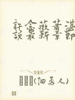 许念薇萧湛明小说最新章节免费阅读