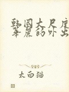 韩国大尺度电影华丽的外出