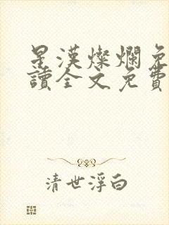 星汉灿烂免费阅读全文免费阅读正版