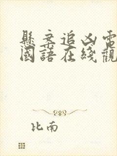 悬案追凶电视剧国语在线观看免费