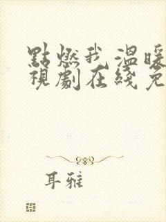 点燃我温暖你电视剧在线免费观看