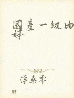 国产一级内射婷婷