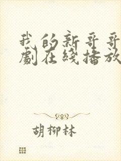 我的新哥哥2韩剧在线播放